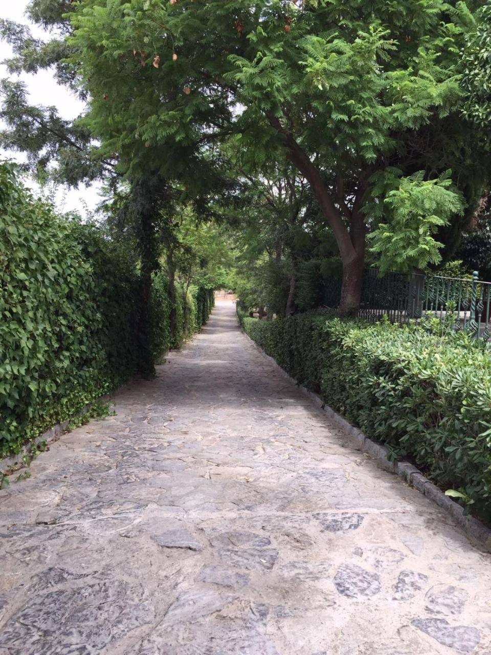 La Algazara — Villamartin — photo 4