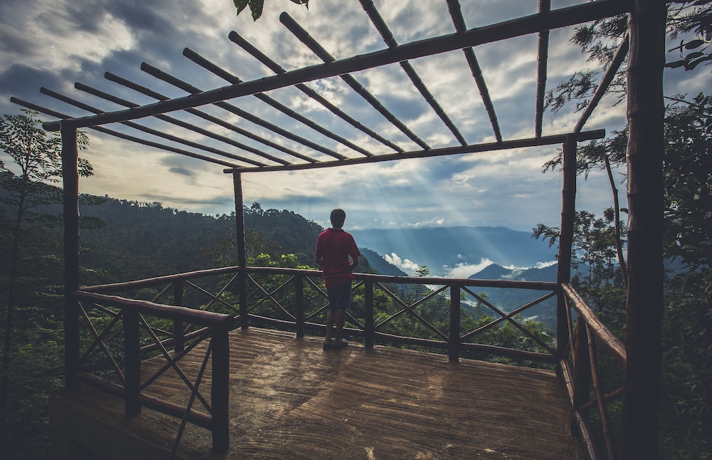 After the Rains in Kalpatta, India
