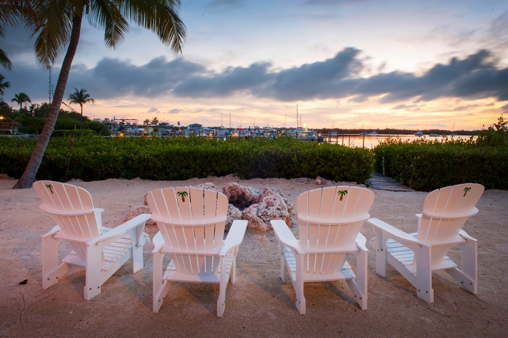 Coconut Palm Inn - photo 49