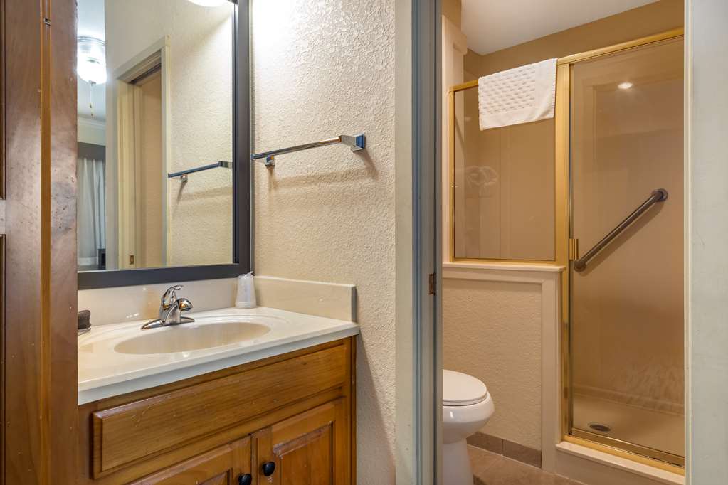 Best Western Dinosaur Valley Inn & Suites - photo 24