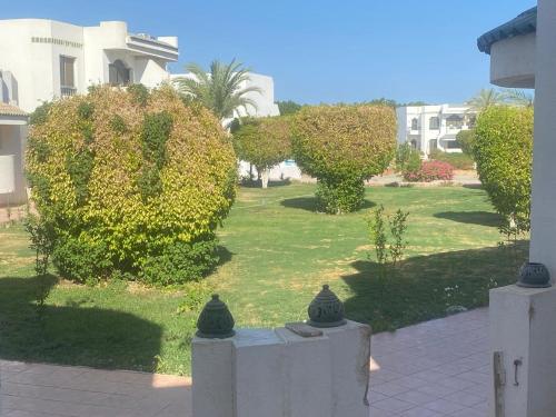 Sharm El Sheikh Naama Bay Sun shine Resort - last minute hotel in Sharm El-Sheikh