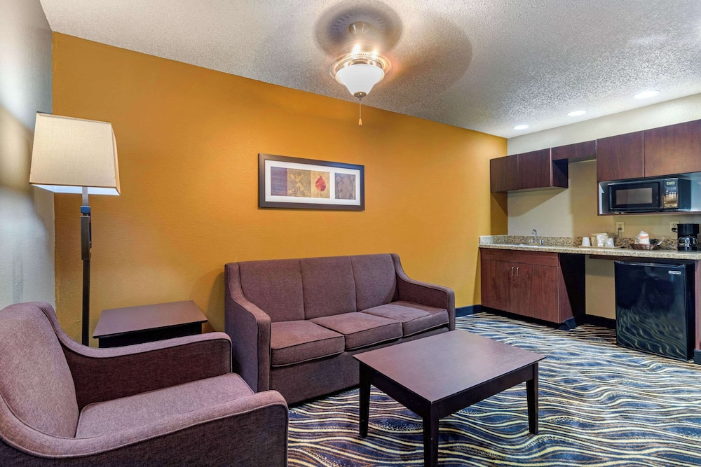 Quality Suites Addison Dallas - photo 19