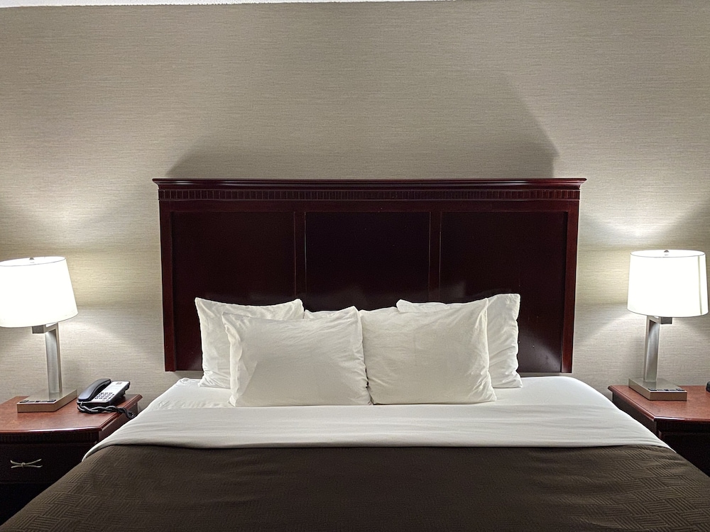 Clarion Inn & Suites Grand Rapids Airport - photo 8