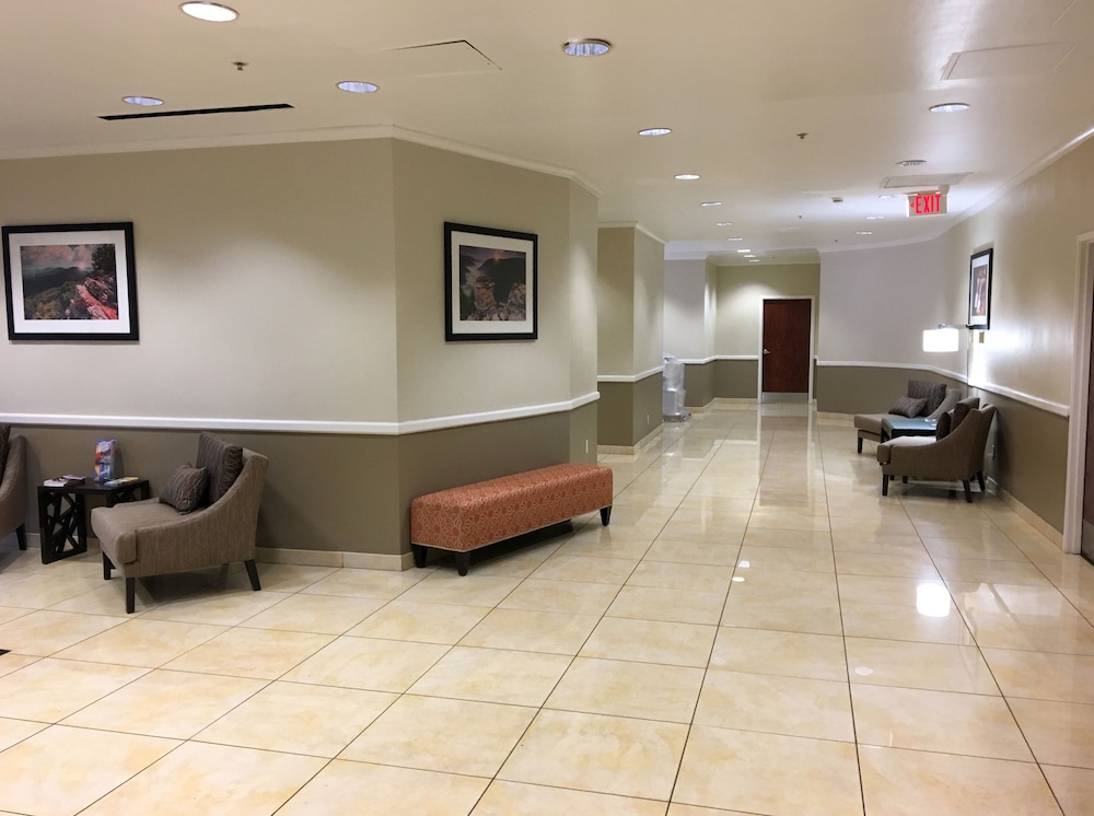 Best Western Charleston - photo 38