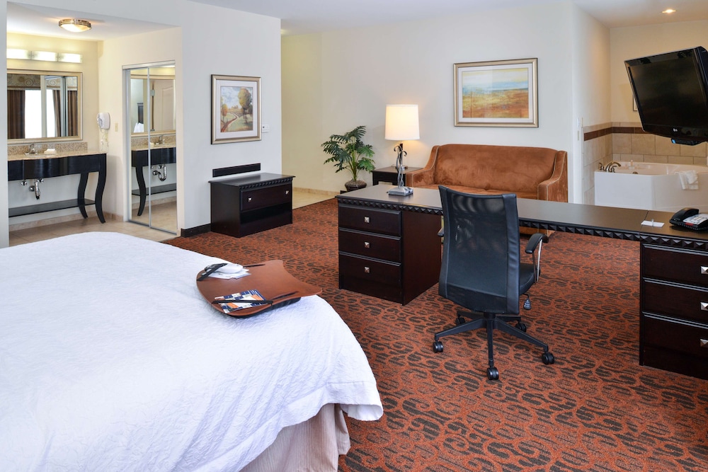 Hampton Inn Pecos - photo 15