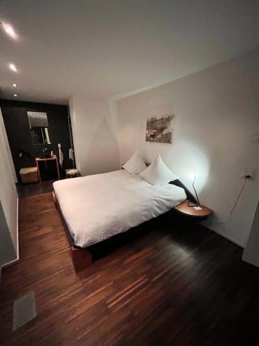 Deluxe Zimmer in Privatwohnung an zentraler Lage — hotel in Teufen