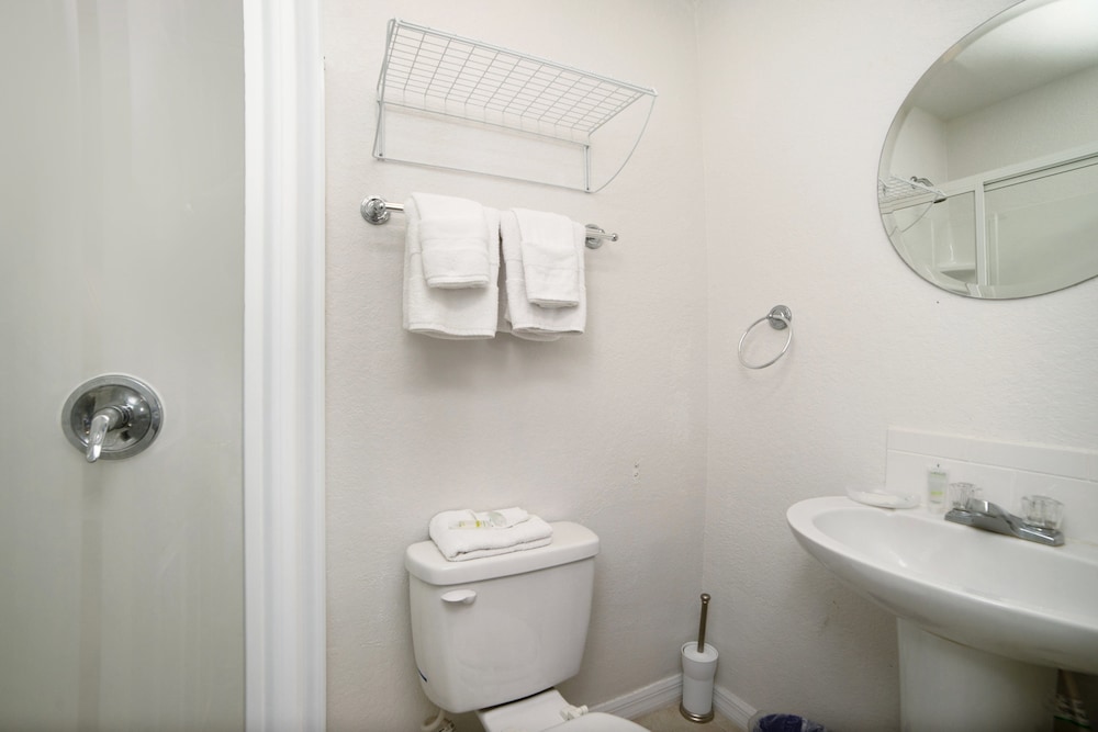 204Glen - photo 29