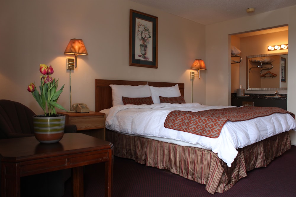 The Regency Inn - photo 13