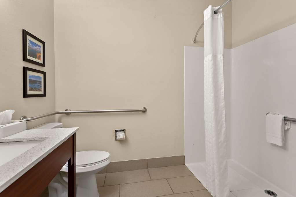 Comfort Suites University Las Cruces - photo 13