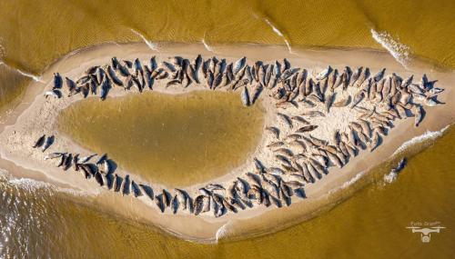 Michowka in Gdansk, Poland