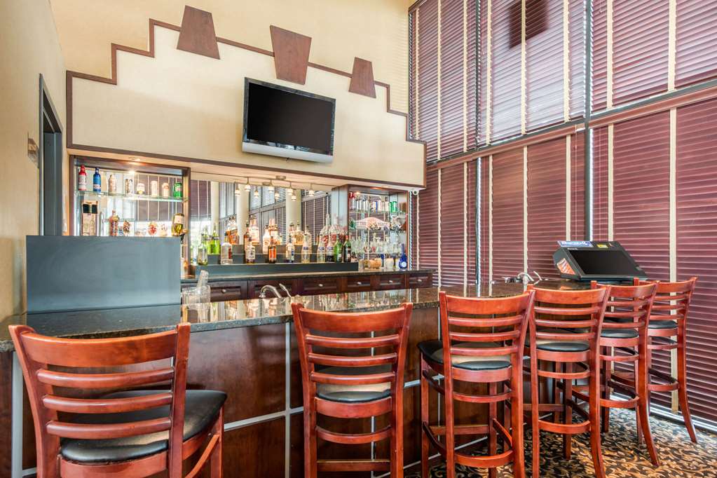Quality Inn & Suites Tarpon Springs South - photo 38