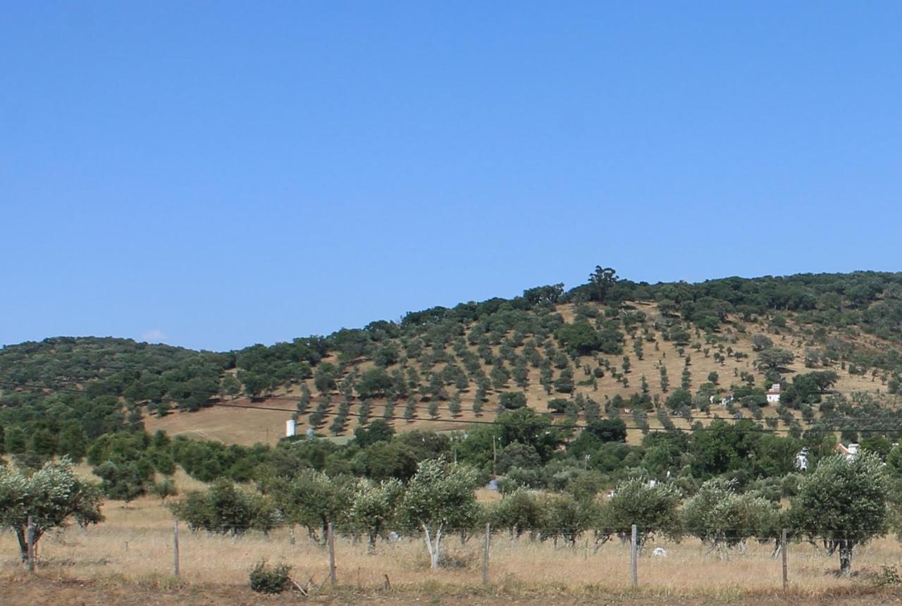 Girassol Alojamento Local — hotel in Montemor-O-Novo