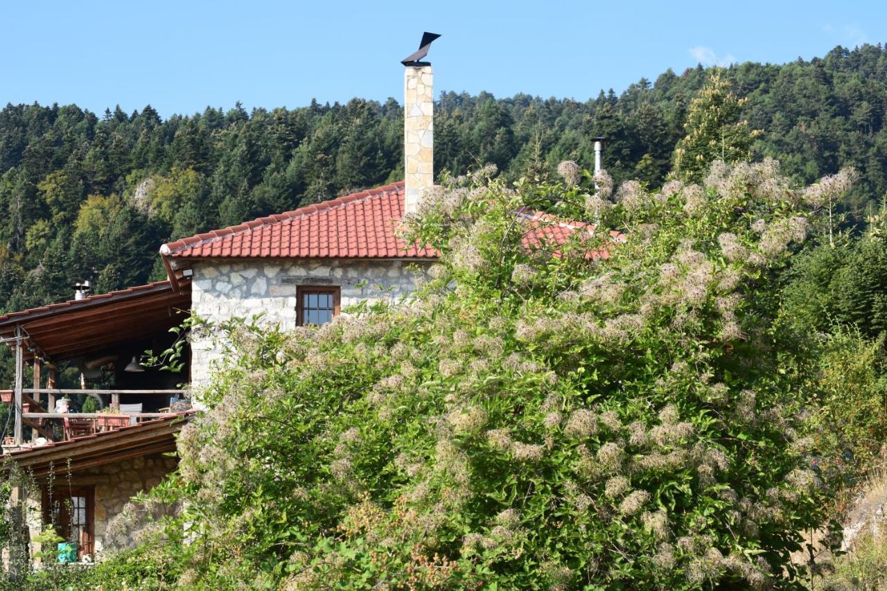 Arli House — 4-Star Luxury Hotel in Trikala, Greece