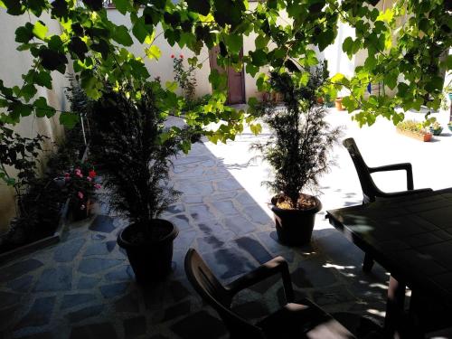 Old City LG Apartments
