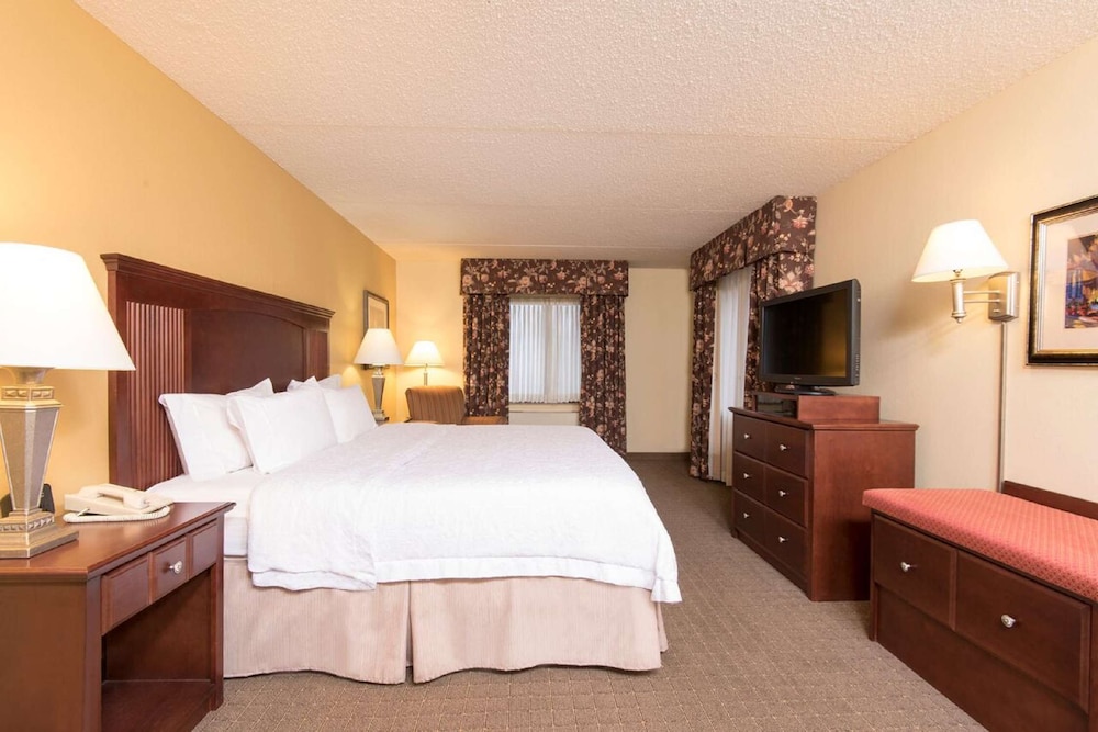 Hampton Inn Schenectady Downtown - photo 12