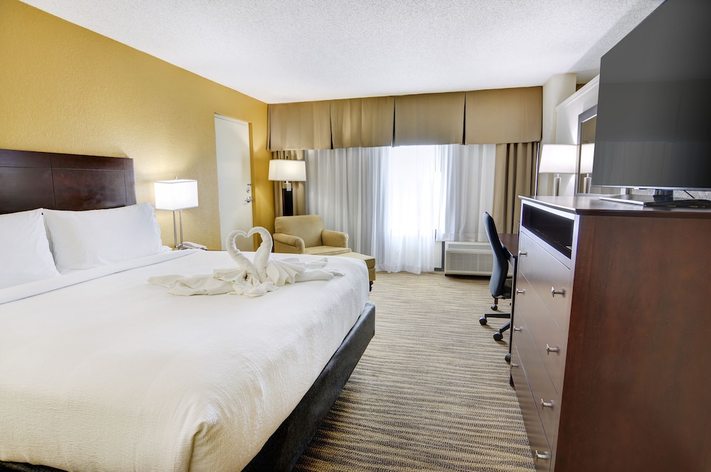 Holiday Inn St Petersburg N Clearwater by IHG - photo 11