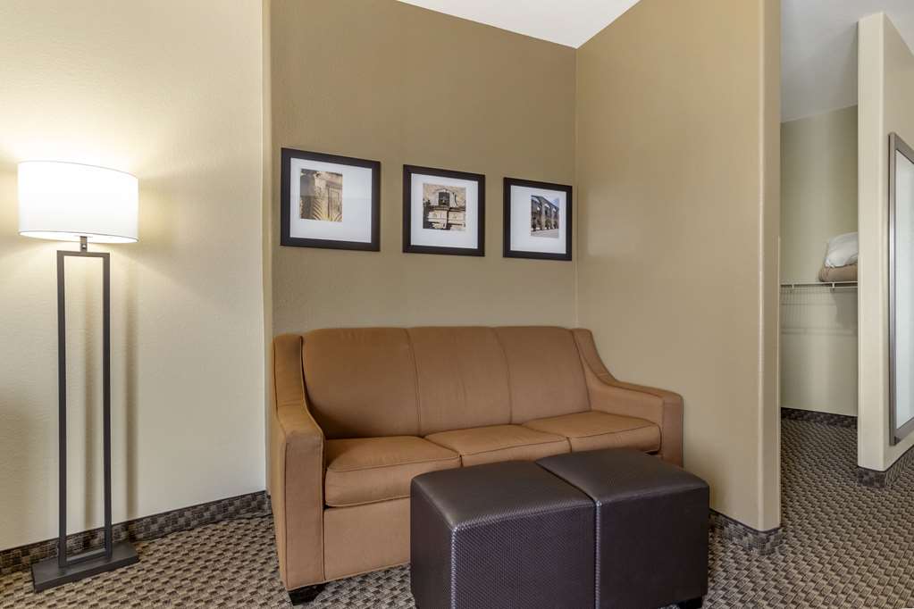 Comfort Suites Medical Center near Six Flags - photo 11