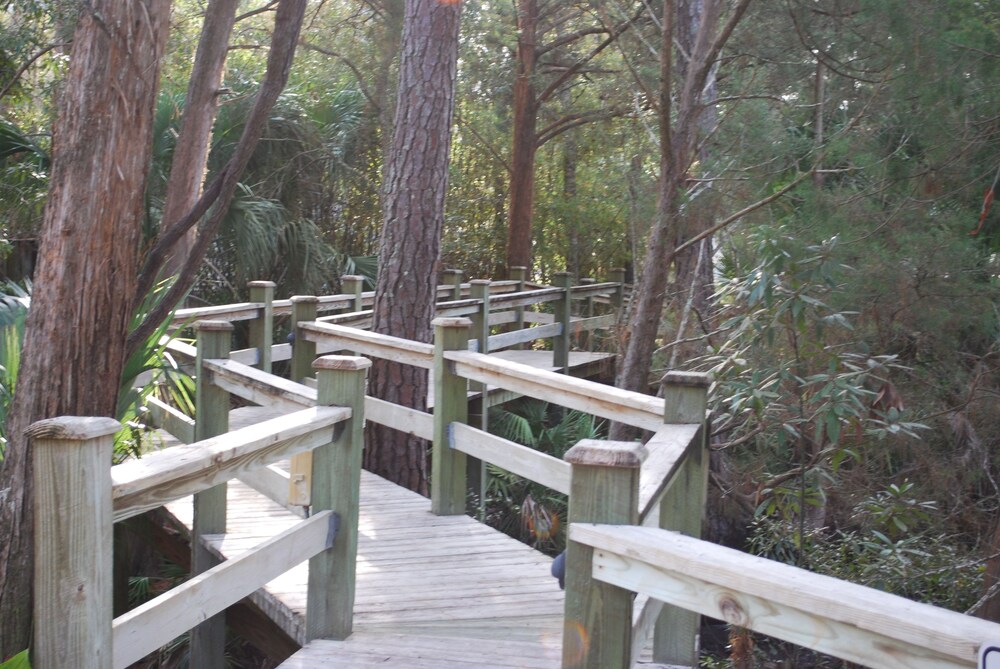 Steinhatchee Landing Resort - photo 120