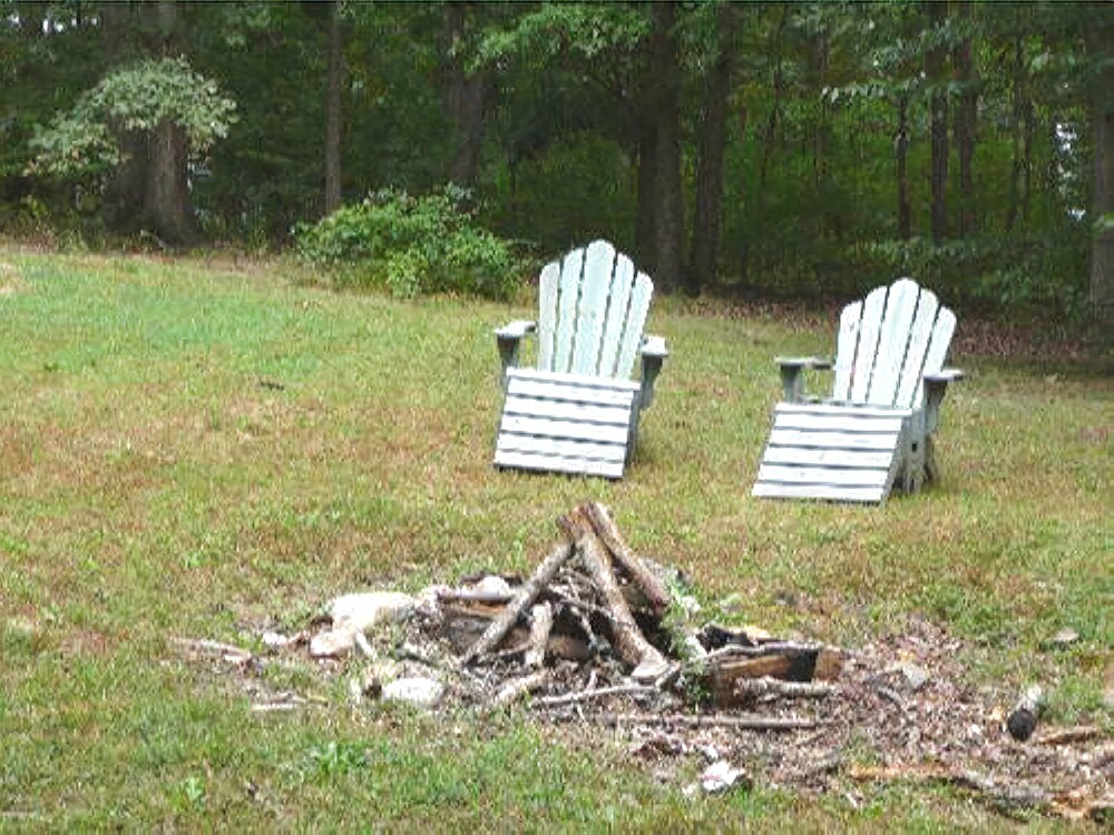 Woodland_magic - photo 12