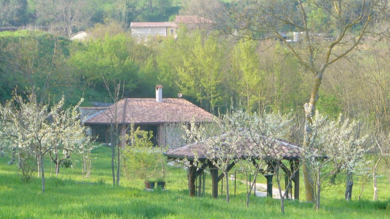 Tenuta de Maffutiis in Polla, Italy