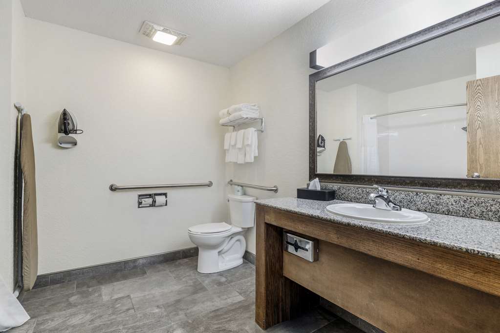 Comfort Inn & Suites Mt. Rushmore - photo 15