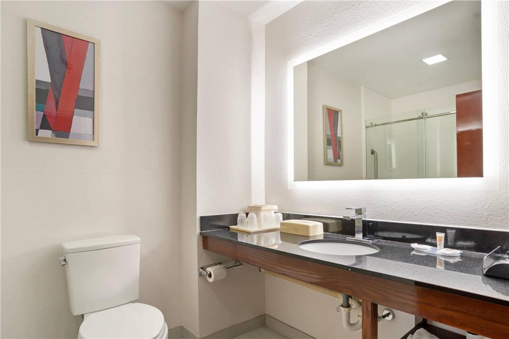 Comfort Inn Livingston - photo 13