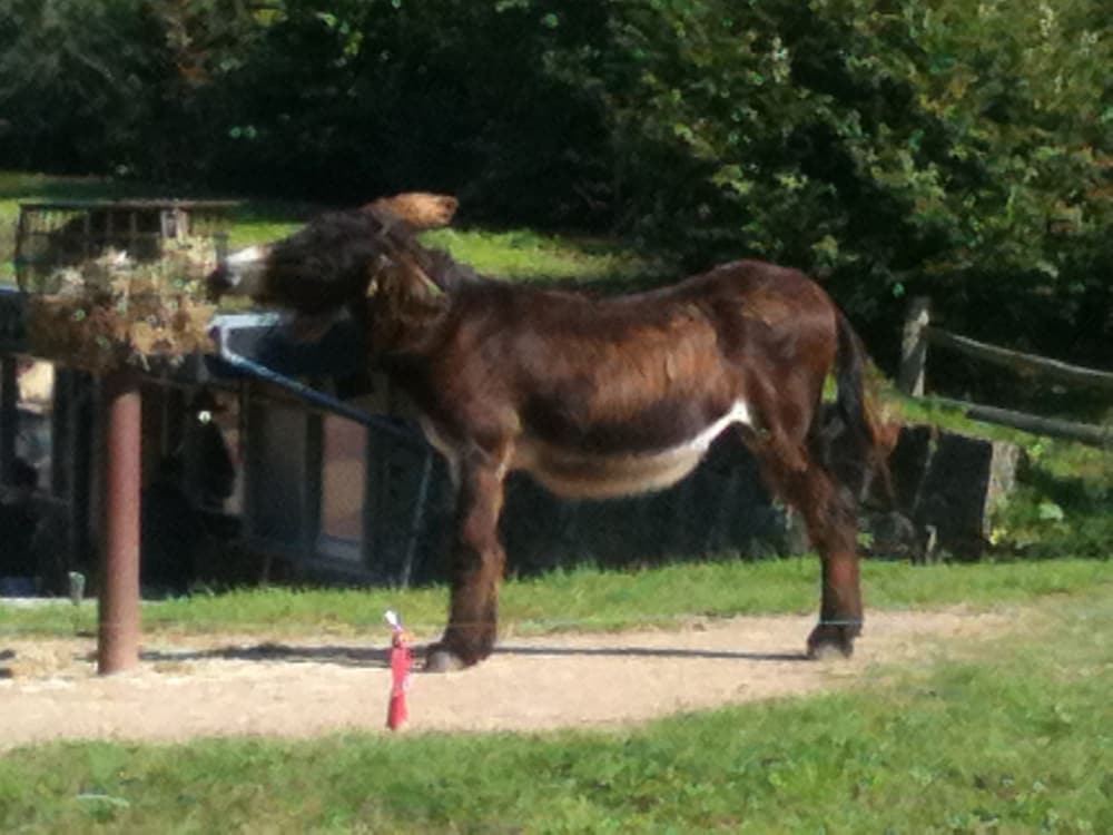 Children's activities