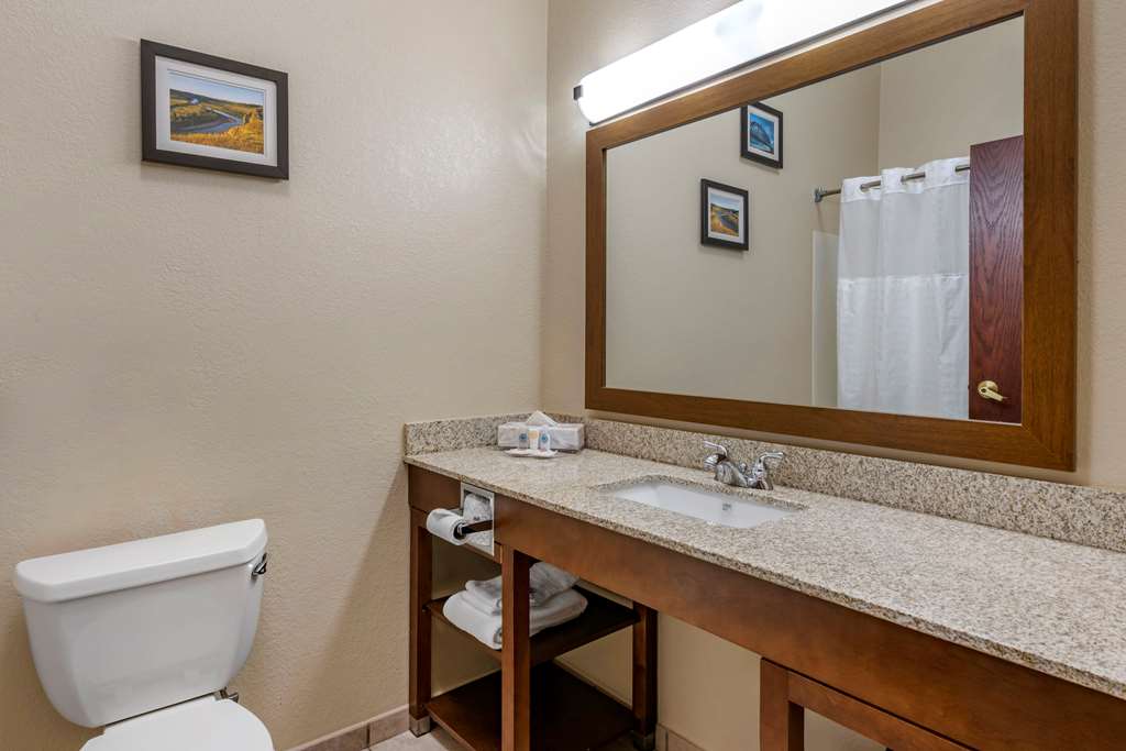 Comfort Inn & Suites St. Louis O'Fallon - photo 22