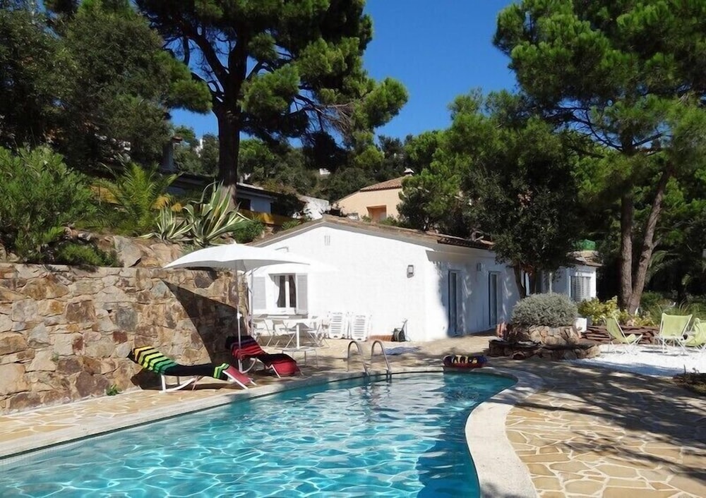 Danlux Palmera — Tossa De Mar