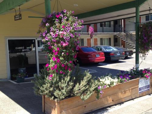 Cameo Motel Portland - photo 11