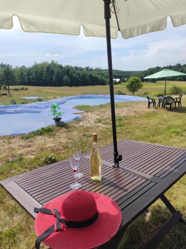 Stadnina koni Tarka in Zwierzyniec, Poland