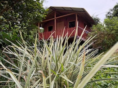 Cabaña En El Bosque in Unknown City, Costa Rica