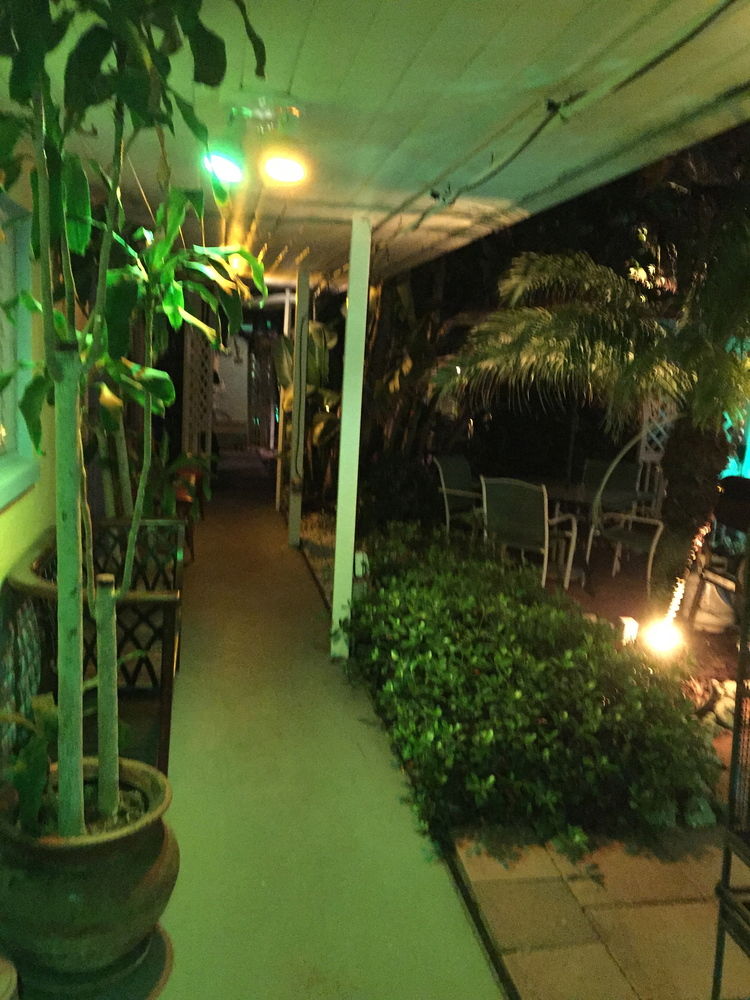 Amber Tides Motel - photo 44