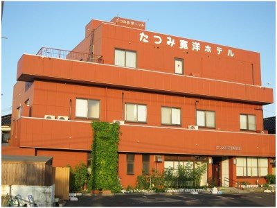 Tatsumi Kanyo Hotel — hotel in Nikaho