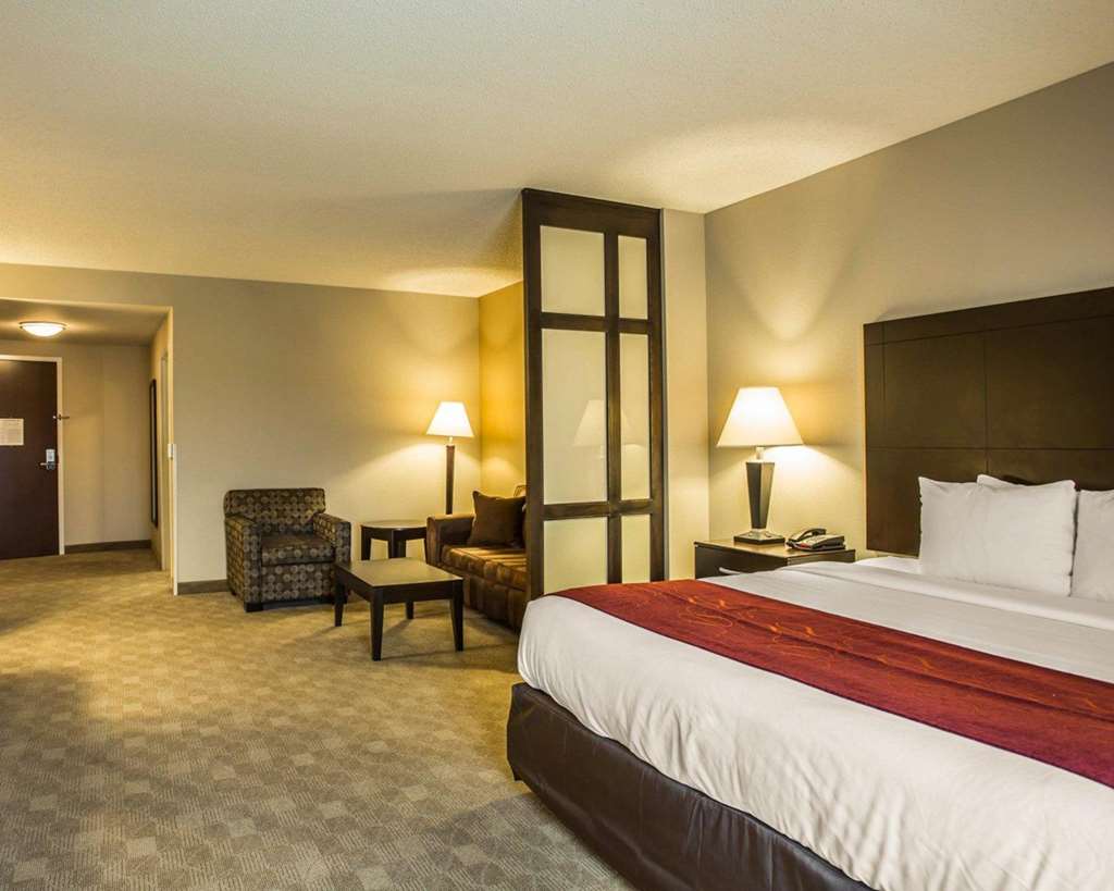 Comfort Suites Huntersville near Lake Norman - photo 18