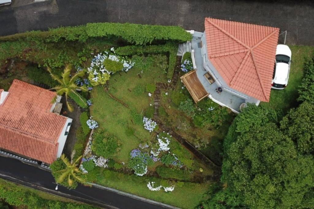 On the Clouds in Furnas, Portugal