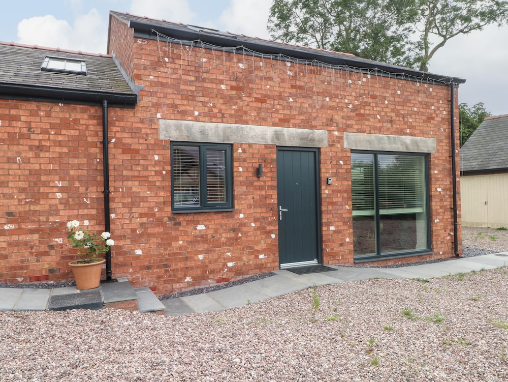 Kestrel in Malpas, United Kingdom