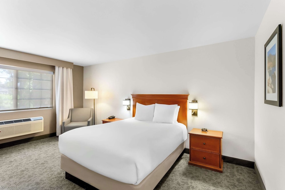 Comfort Inn & Suites Susanville - photo 6
