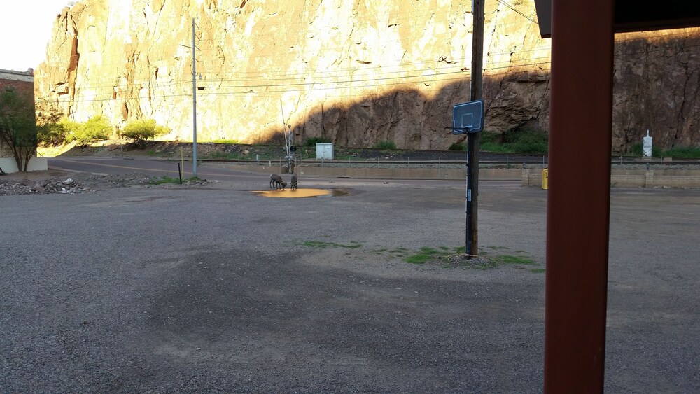 Rode Inn Motel - photo 35