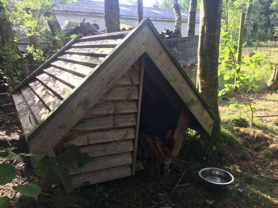 Log House Wildernest — Brande — photo 2