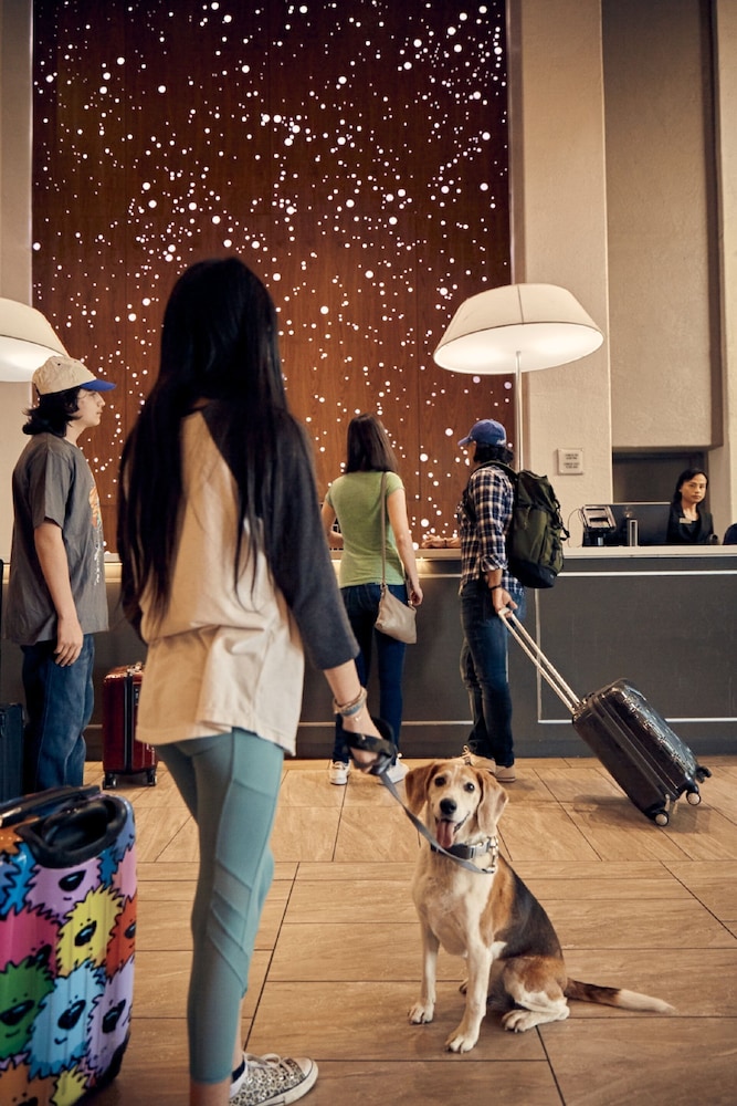 Embassy Suites by Hilton Los Angeles Downey - photo 4