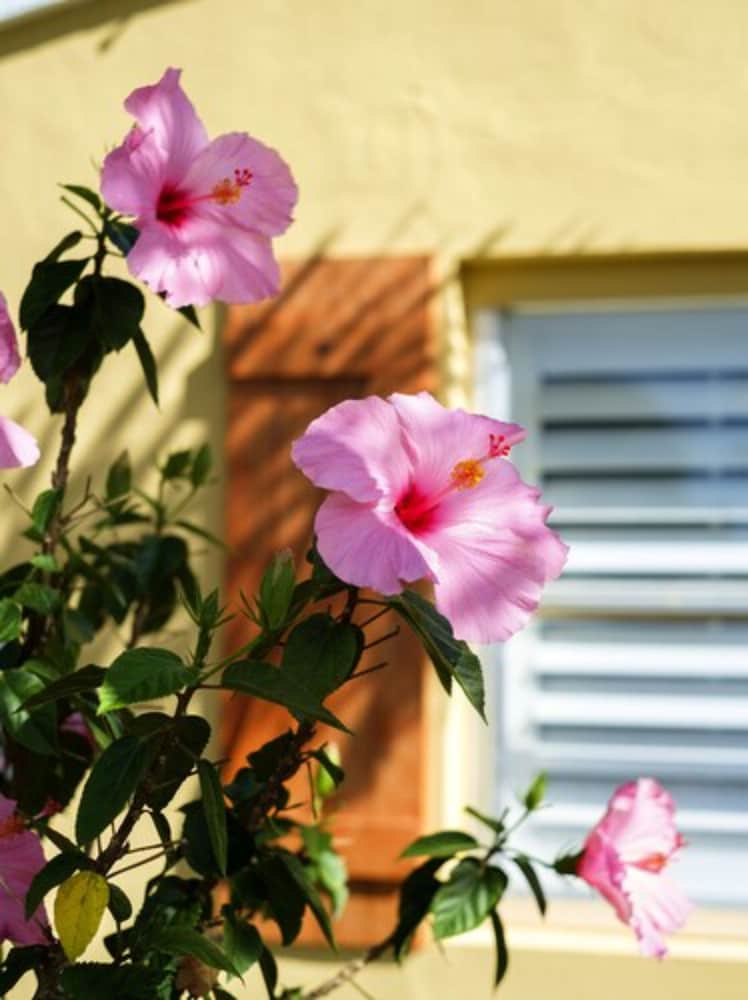 Atlantic Hideaway - photo 15