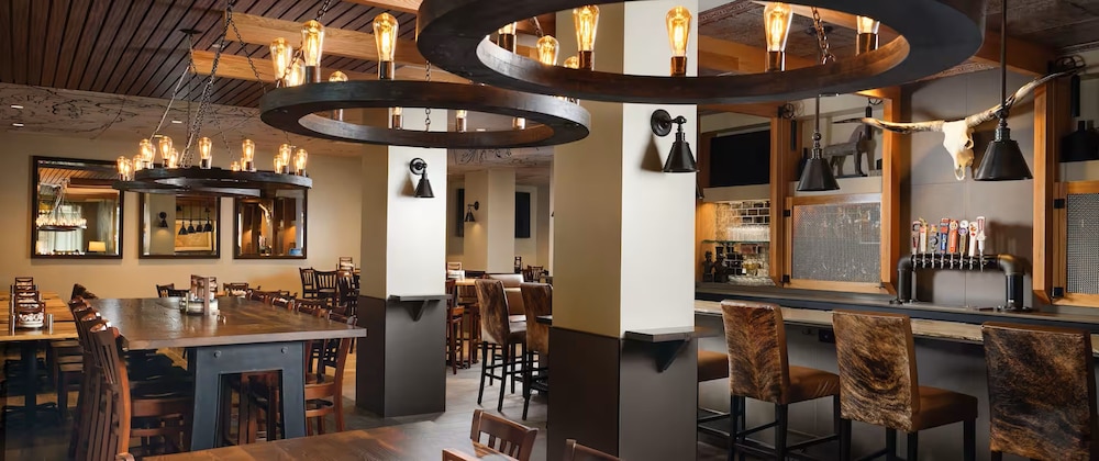 Embassy Suites by Hilton Fort Worth Downtown - photo 34