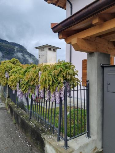LoSteLaDa sul lago di Como in Colico Piano, Italy