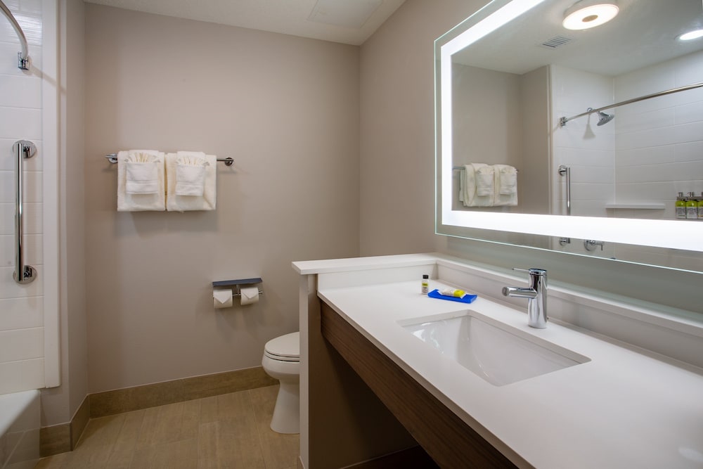 Holiday Inn Express & Suites Deland South by IHG - photo 19