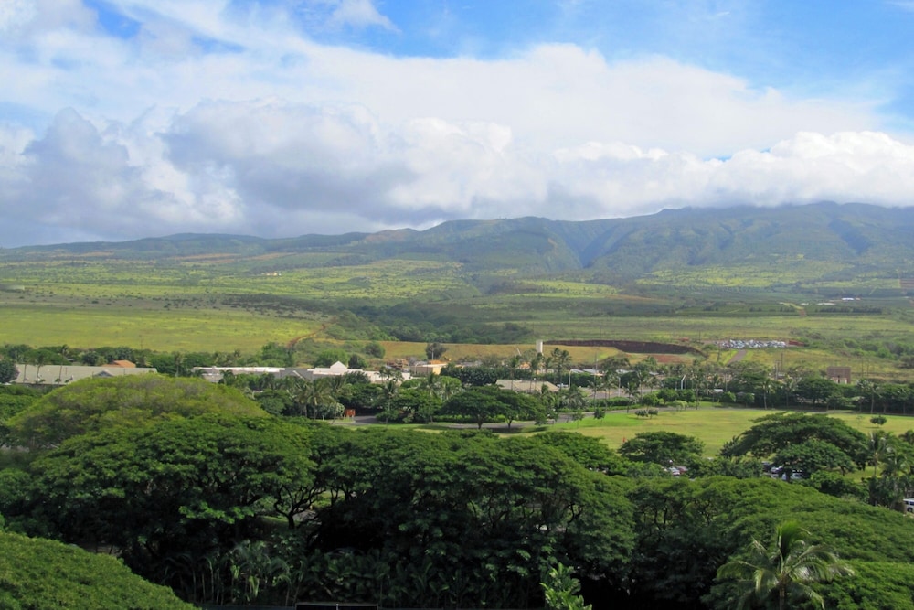 Mahana Resort 1106 1 Br Condo By Redawning — Lahaina