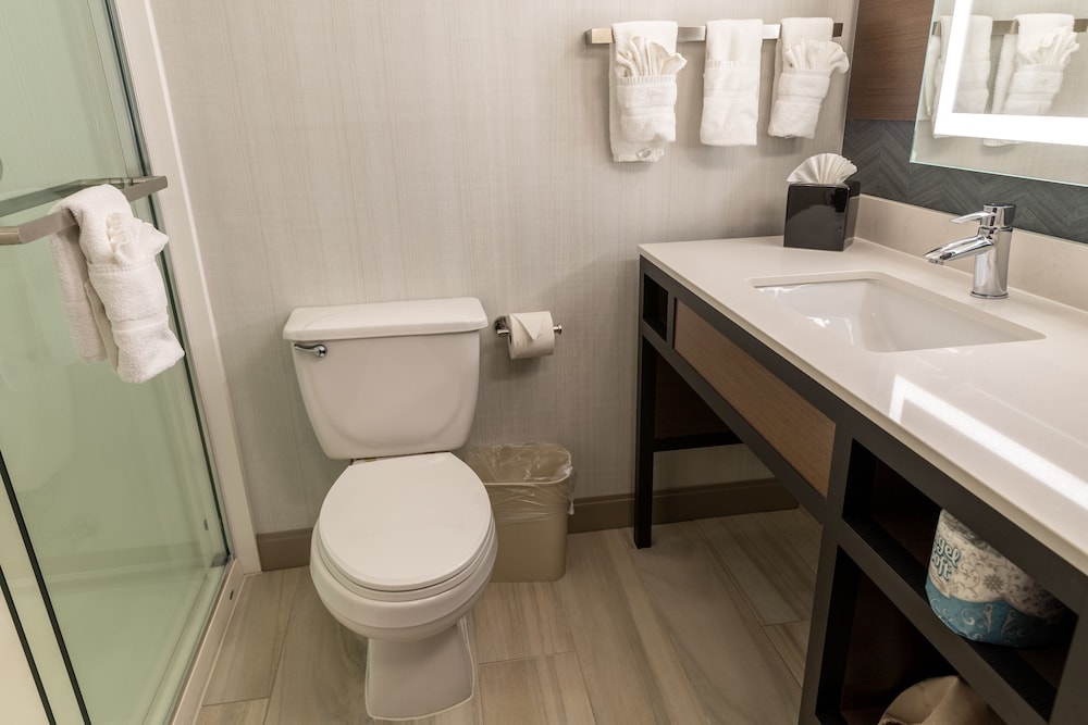 Hilton Garden Inn Des Moines West - photo 49
