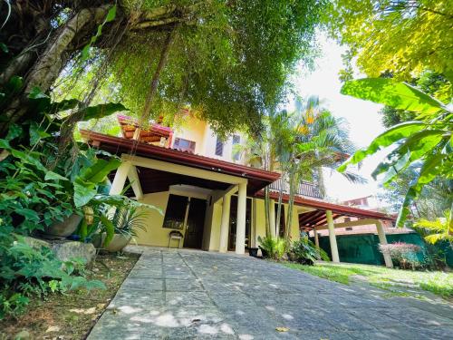 Peacock Paradise in Galle, Sri Lanka