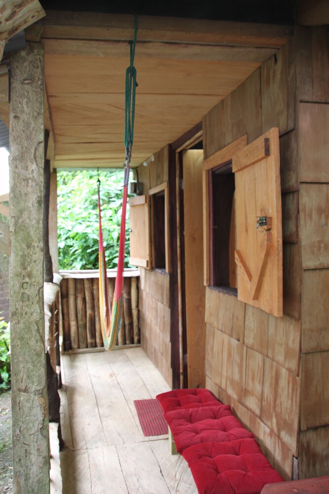 Natty Tropical Valley in Roseau, Dominica