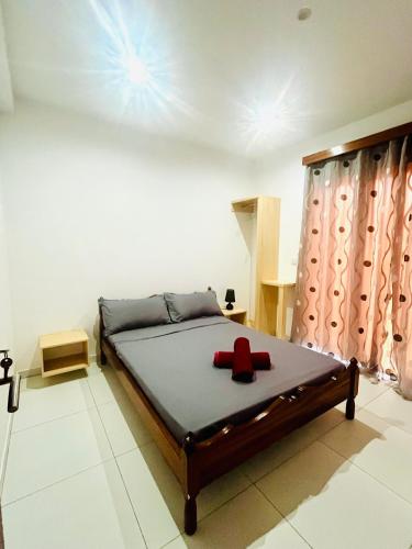 Oásis de retour in Ponta Do Sol, Cape Verde